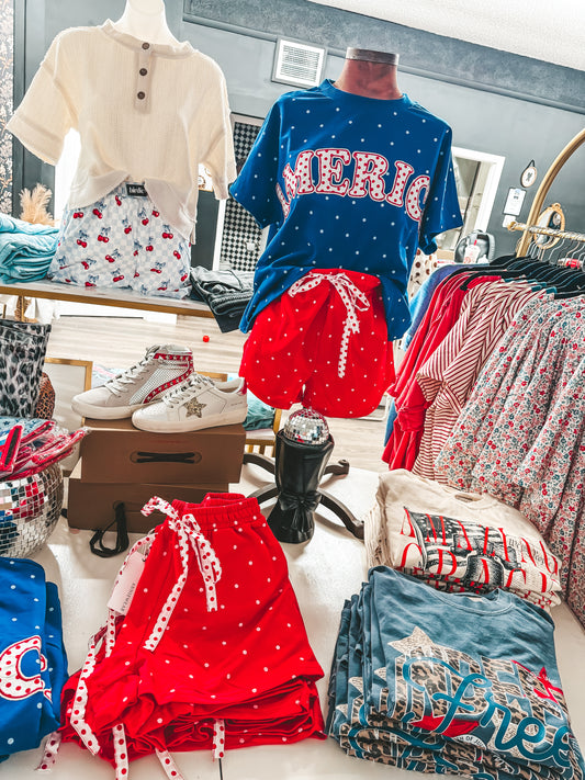 embroidered america polka dot blue top